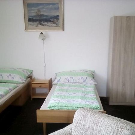 Apartment Vysocina Svratka Extérieur photo